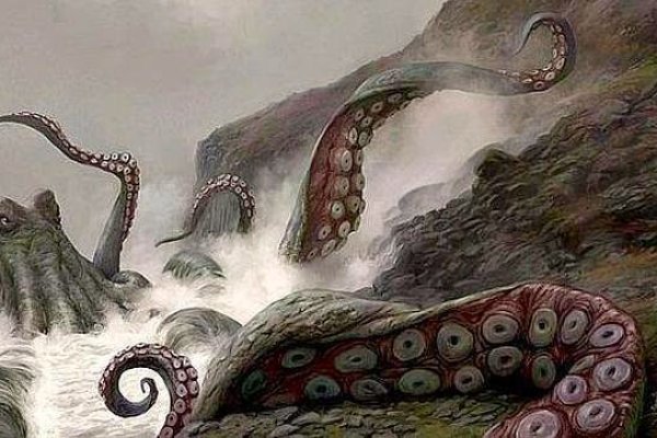 Kraken 23 at