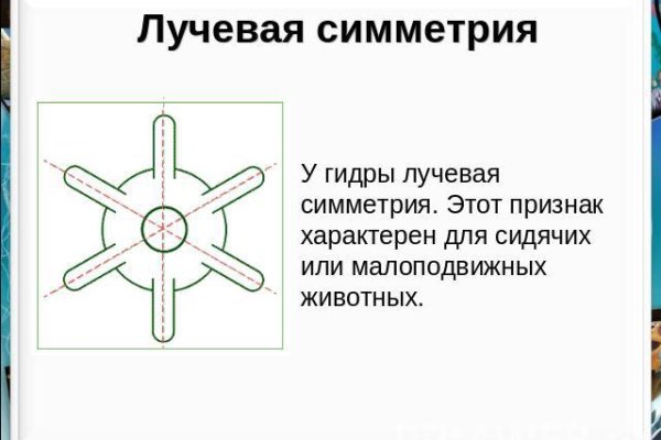 Оригинальная ссылка на кракен