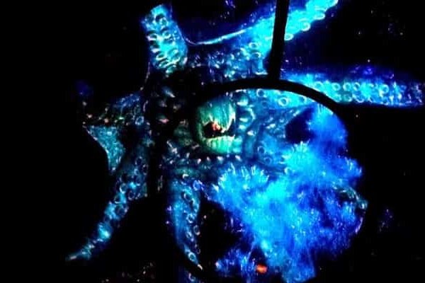 Kraken домен