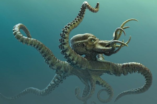 Kraken 15 at сайт