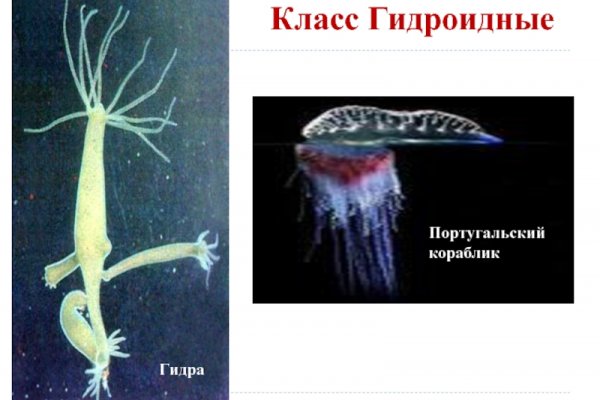 Кракен наркошоп ссылка