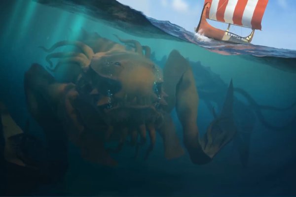 Kraken 24 top