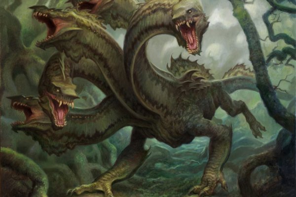 Kraken site
