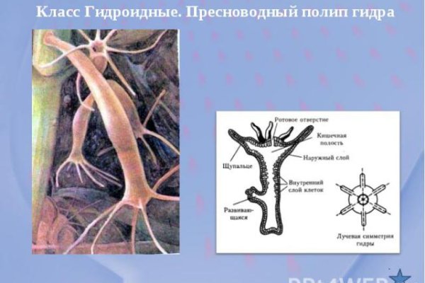 Как зайти в кракен