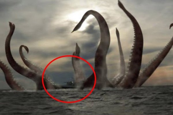 Kraken 17at