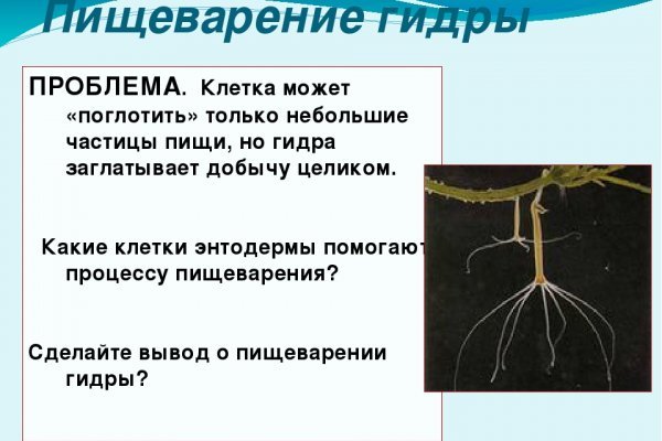 Kraken зеркало krakentor site