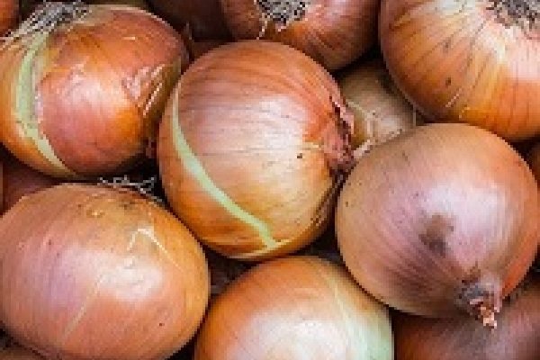Как зайти на кракен в торе